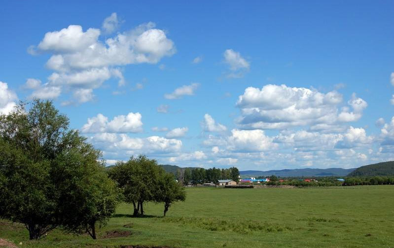 ά�ɺ�������